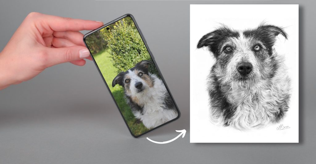 pet portrait from a photo