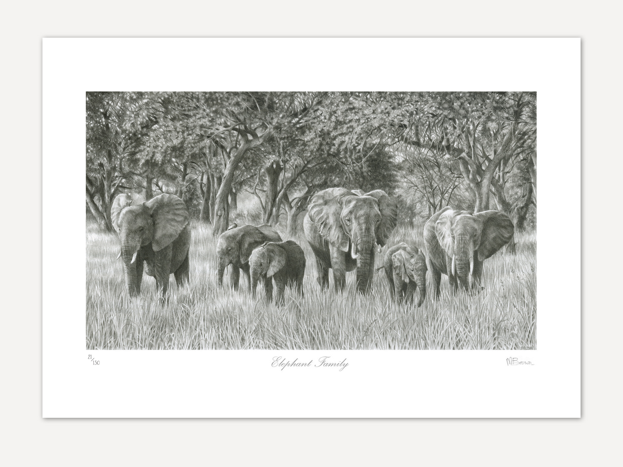 elephant family limited edition print taken from a detailed pencil dawing by animal artist marie brown