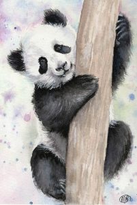 Panda - Marie Brown Fine Art