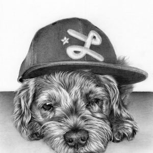 dog pet portrait