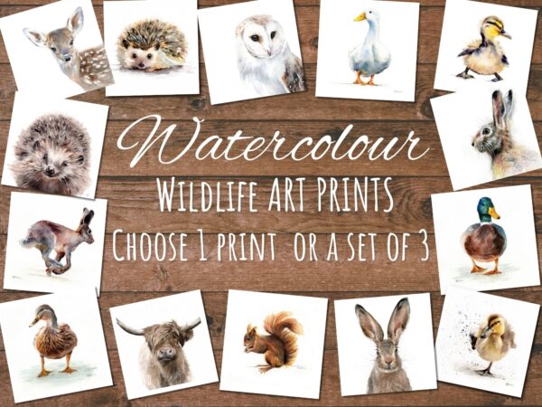 Mini 5x5" Wildlife Prints - Image 2