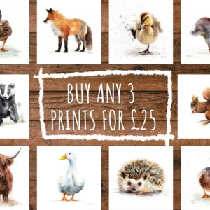 Buy 3 prints for £25