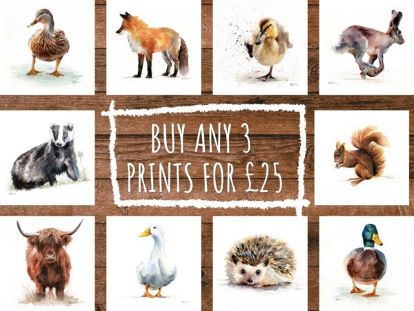 Buy 3 prints for £25
