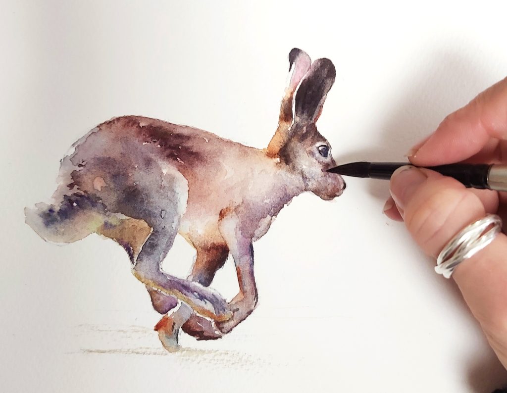 painting a hare in watercolour