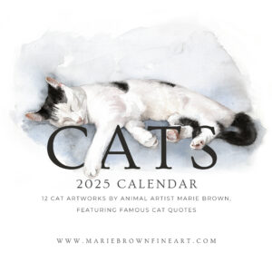 cat calendar 2025