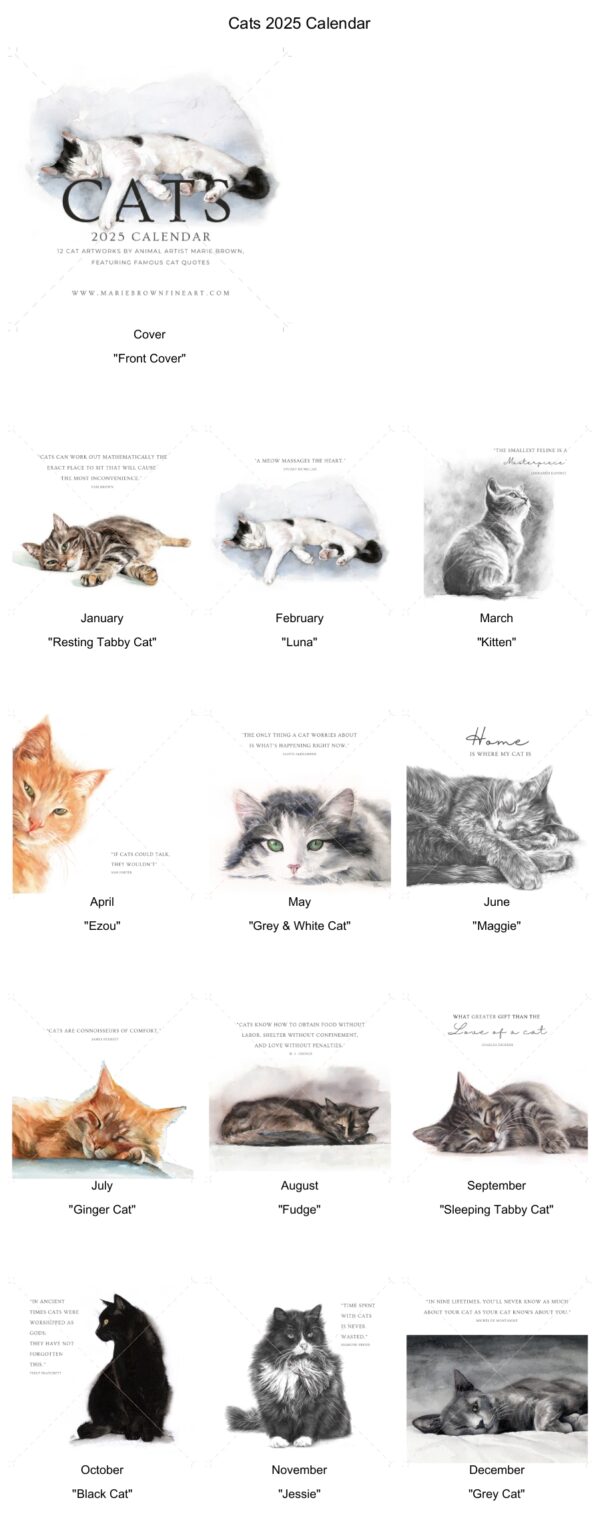 cat calendar