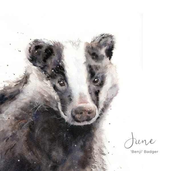 badger painting in a calendar