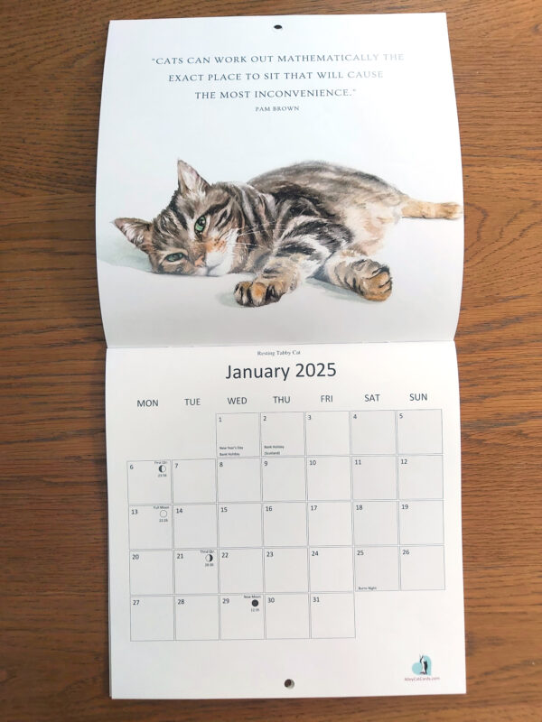 cat calendar