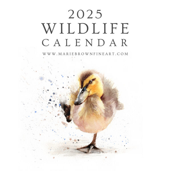 Wildlife Calendar front cover