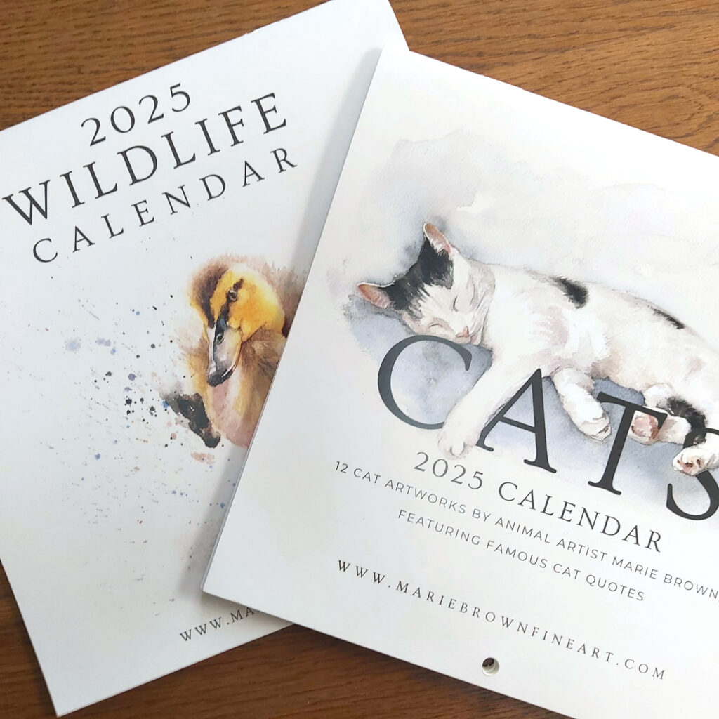 PHOTO OF ANIMAL ART CALENDARS