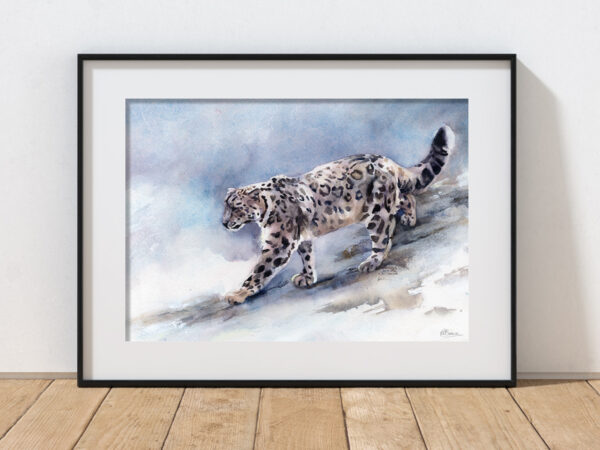 framed in black Snow Leopard Watercolour Print