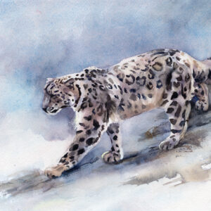 snow leopard art print