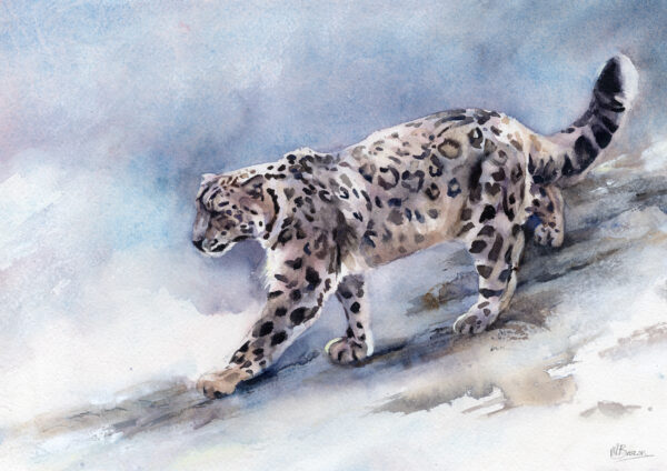 snow leopard art print