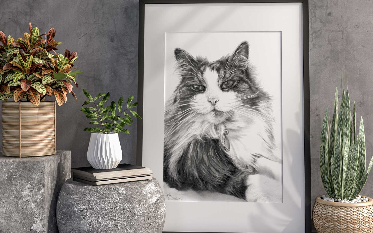 Maine-Coon-Cat-drawing-framed