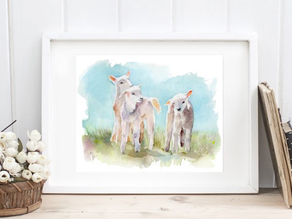 three lambs painted in watercolour, framed in a white frame