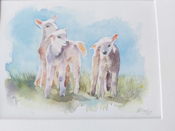 lamb watercolour original painting