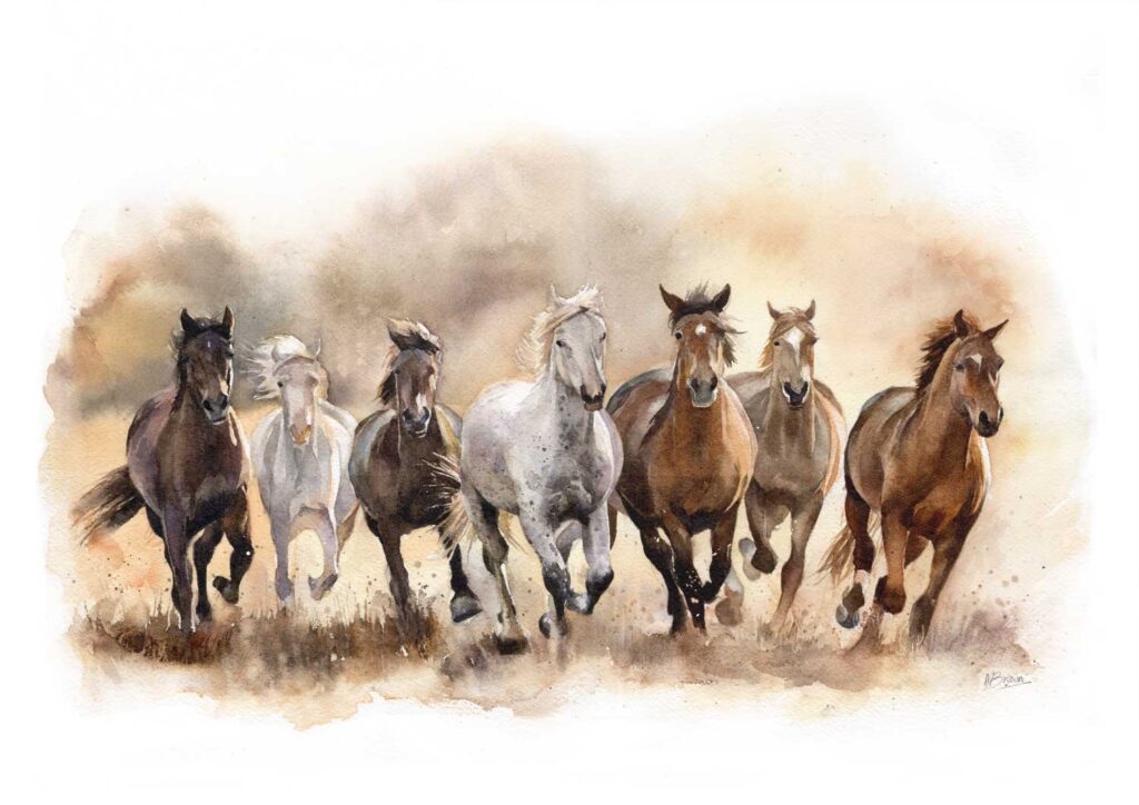 herd of horses fine art print