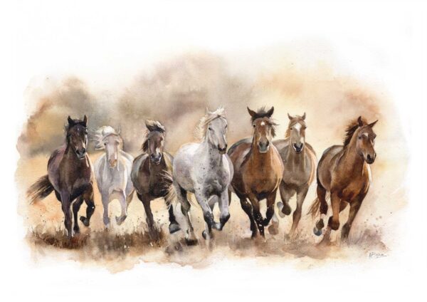 herd of horses fine art print