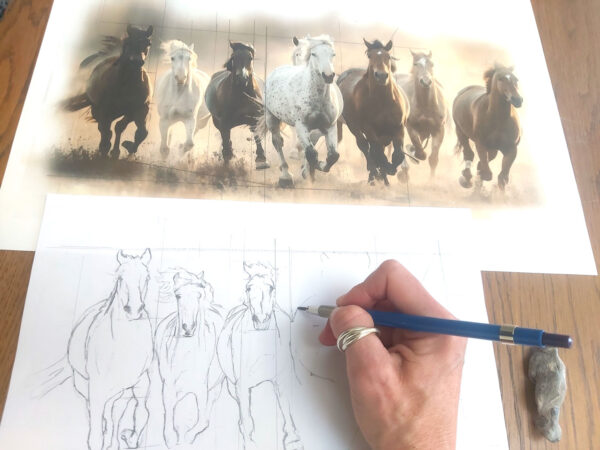 drawing horses