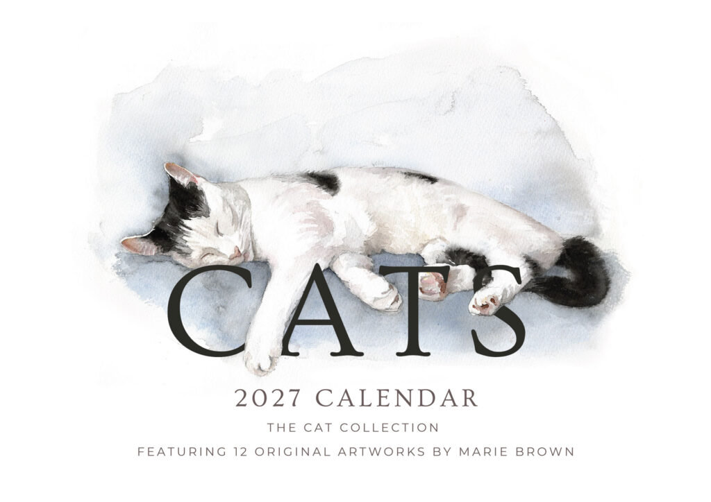2027 cat art wall calendar front cover