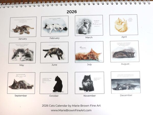 2026 Cat Calendar - Image 5