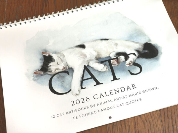 Cat Calendar