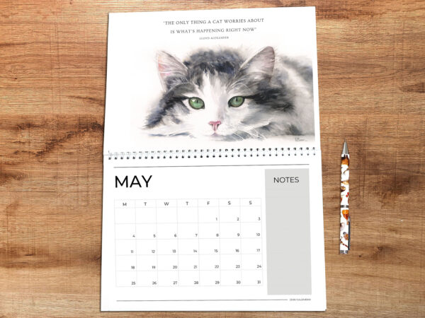 Cat calendar photo