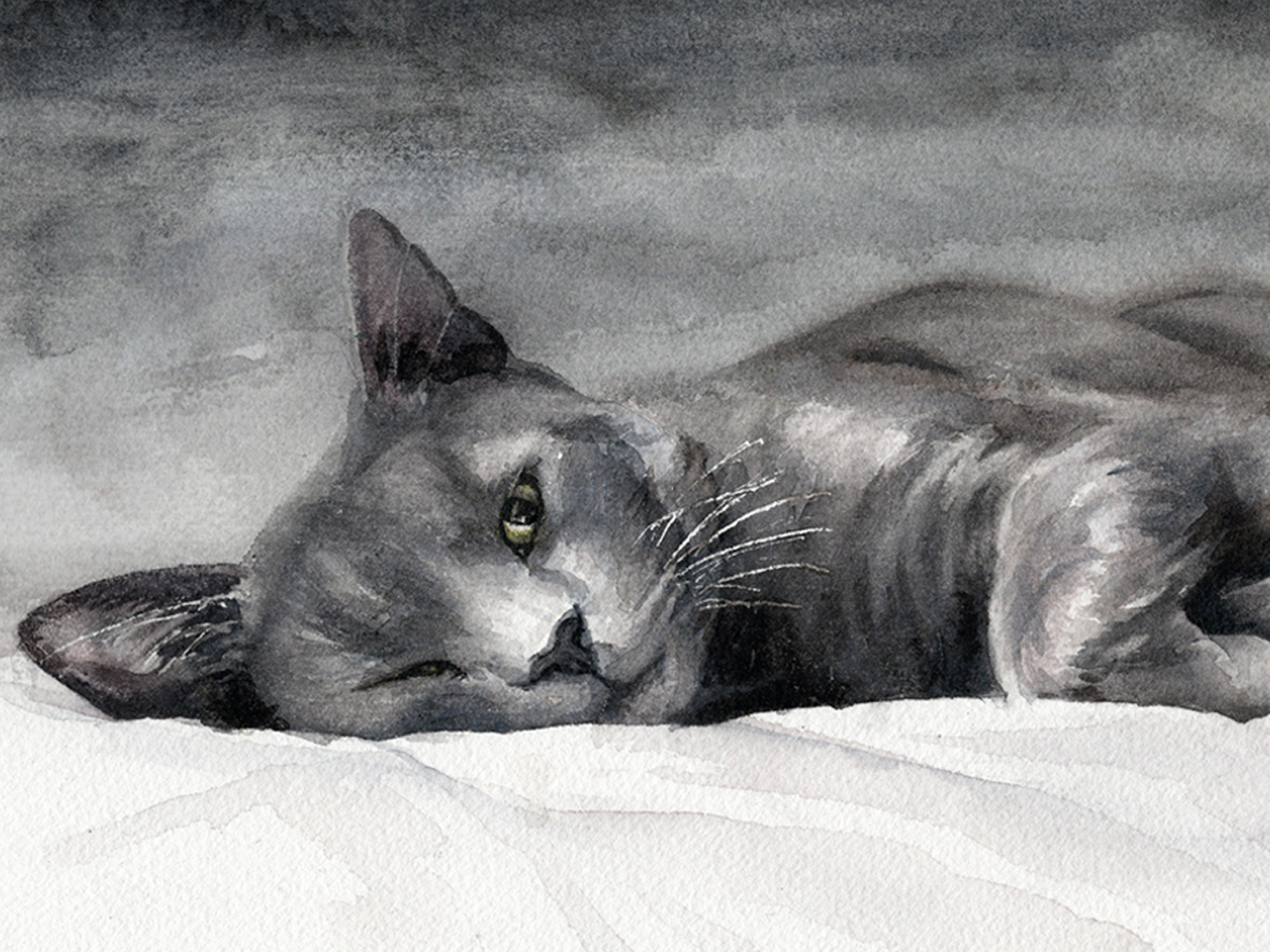 russian grey cat painting close up