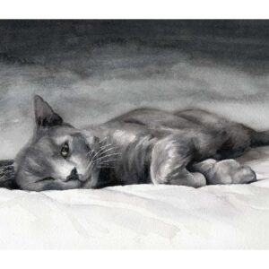 russian Grey Cat art print