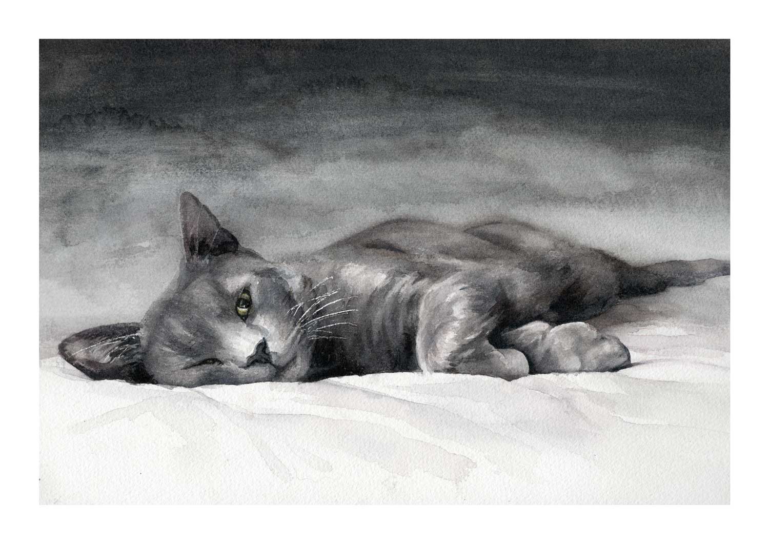 russian Grey Cat art print