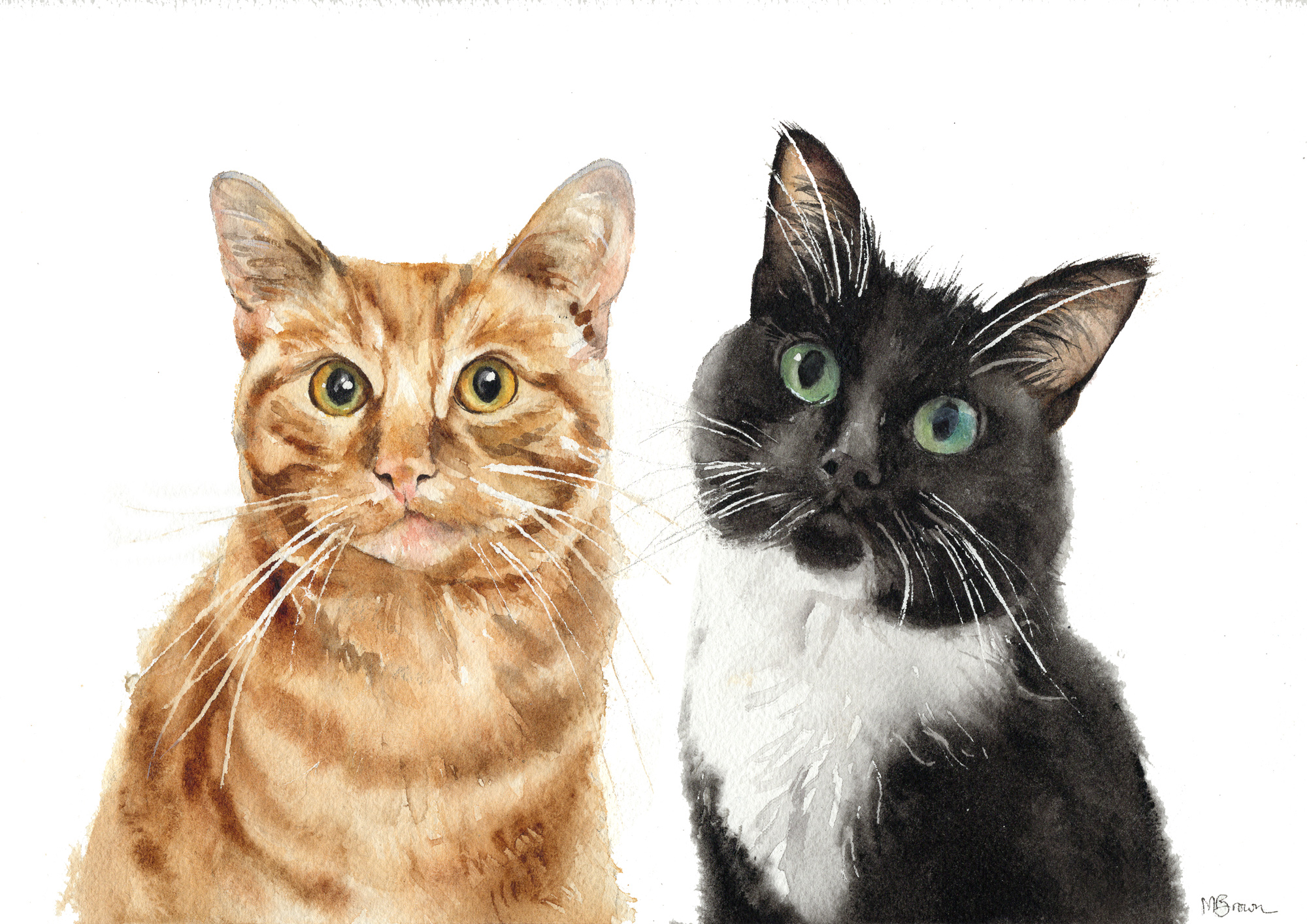 Ginger and b&w cat commissioned painting