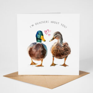 Mallard Duck Couple