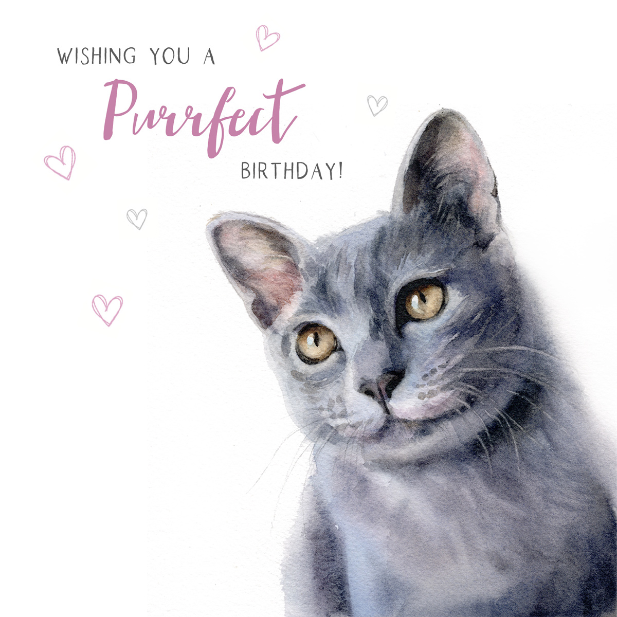 russian blue cat birthday card
