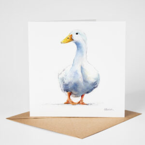 white duck greetings card