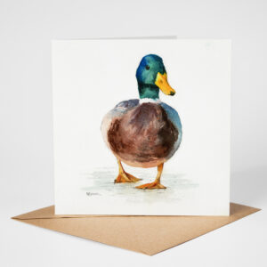 Mallard duck greetings card
