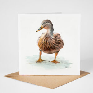 Female Mallard Greetings Card