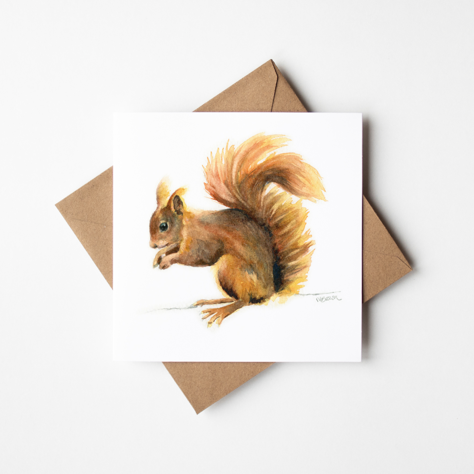 red squirrel wildlife card