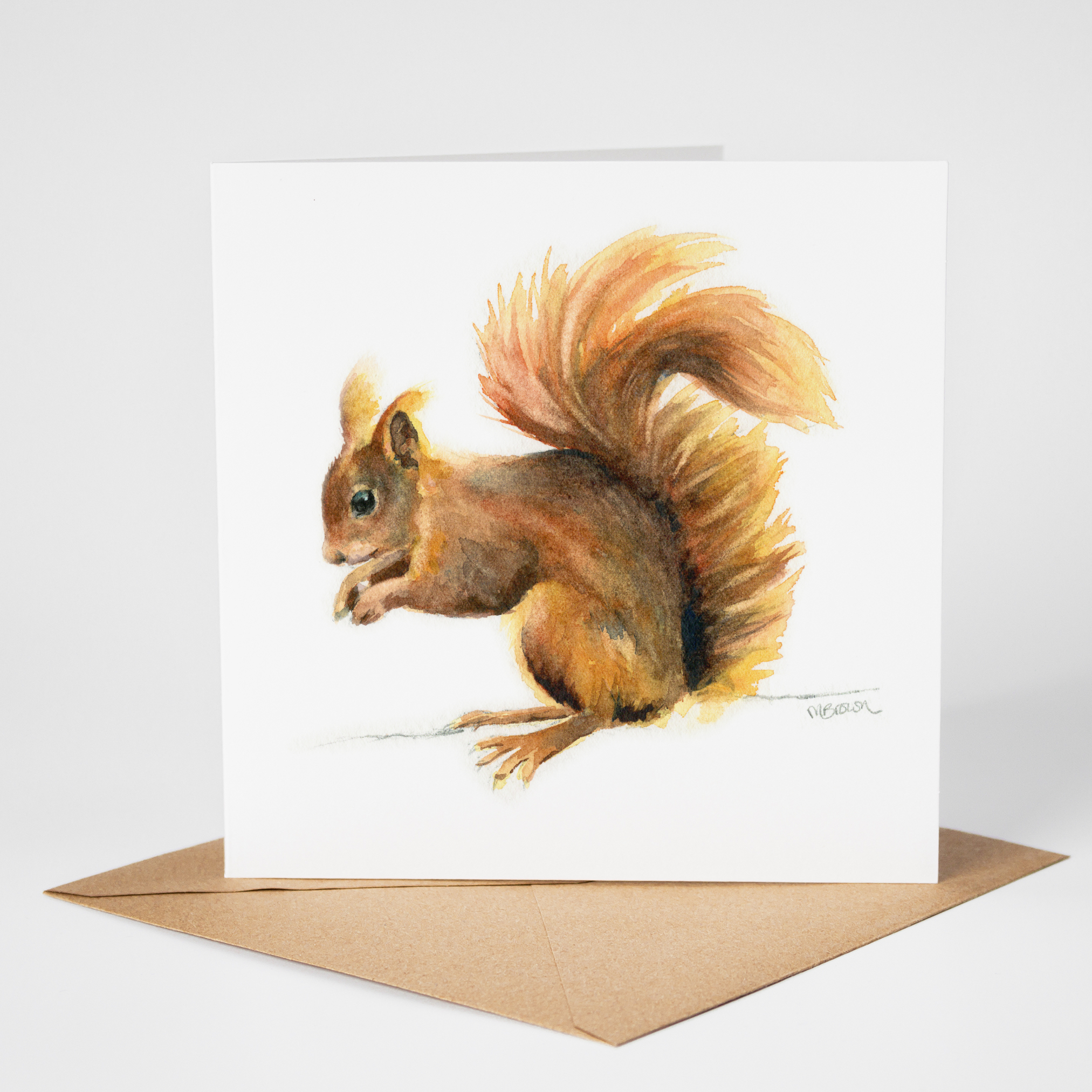 red squirrel wildlife card