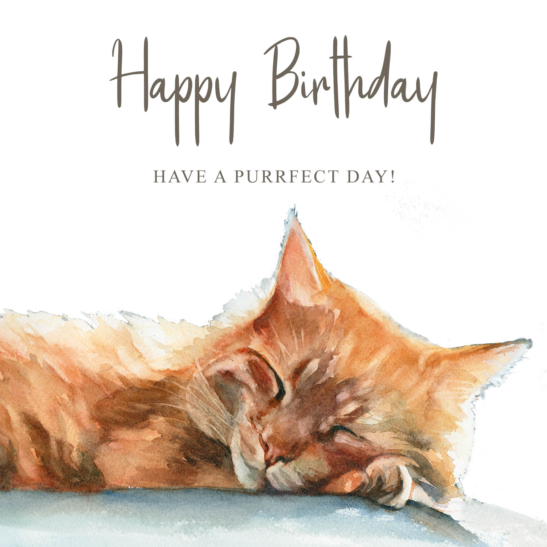 ginger cat card
