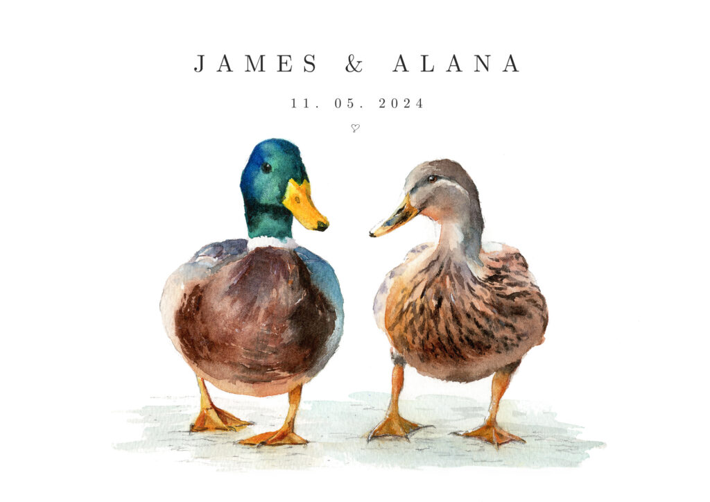 duck couple personalised print