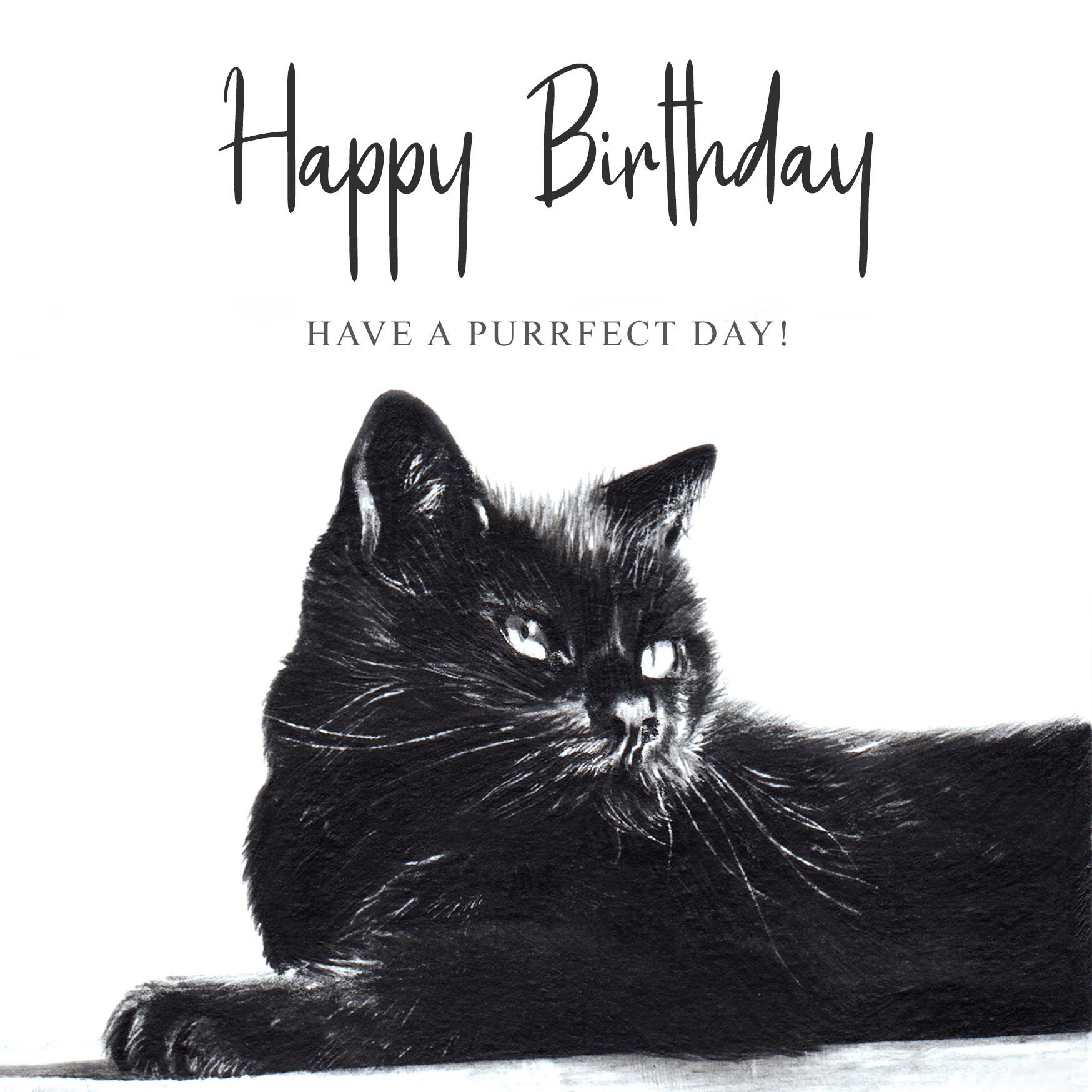 black cat birthday card