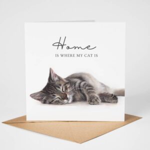 tabby cat greetings card