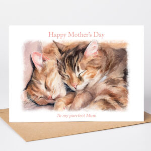 cuddly cats mothers day card