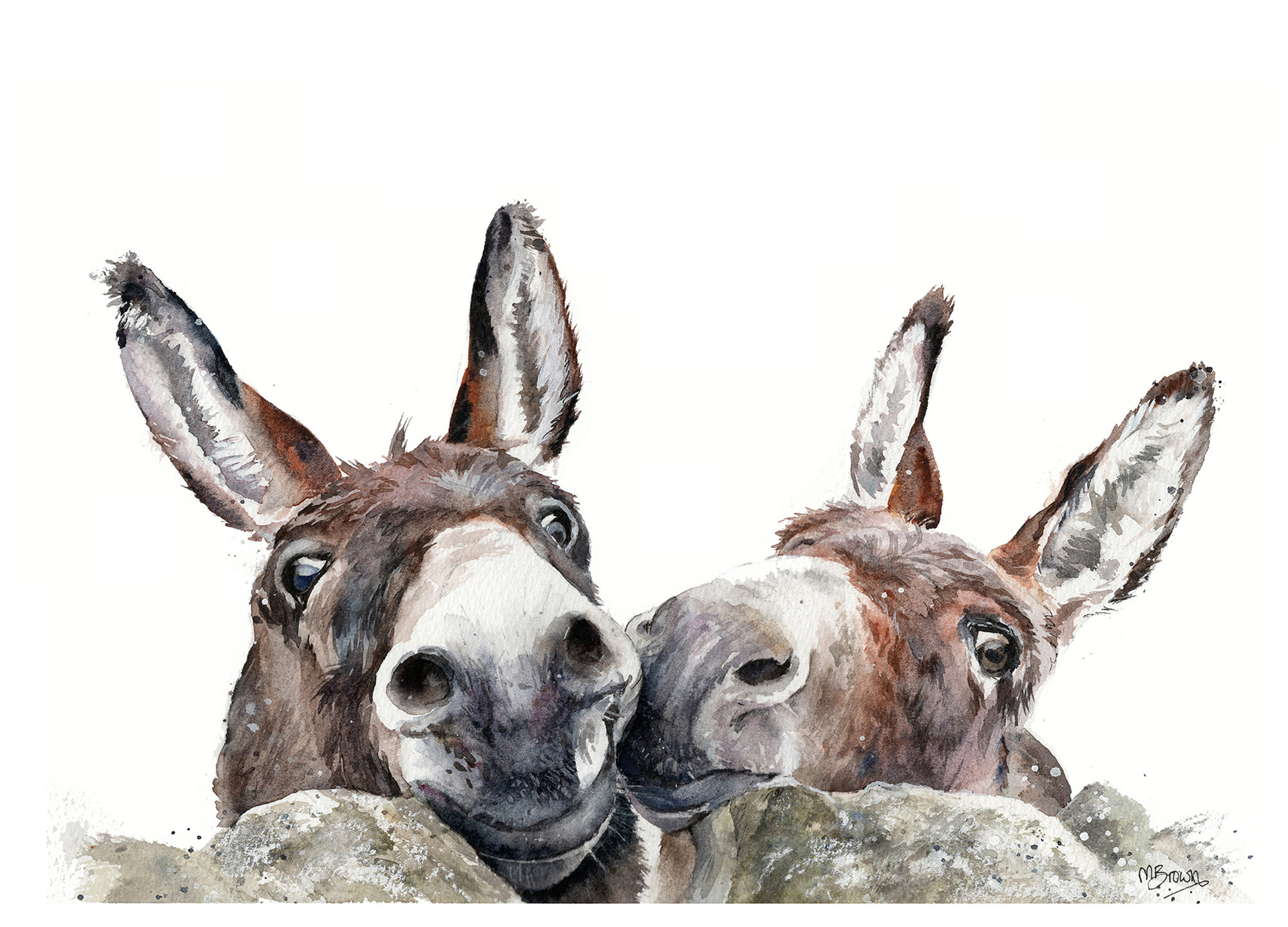 donkey pair watercolour