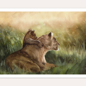 lioness and cub fine art print