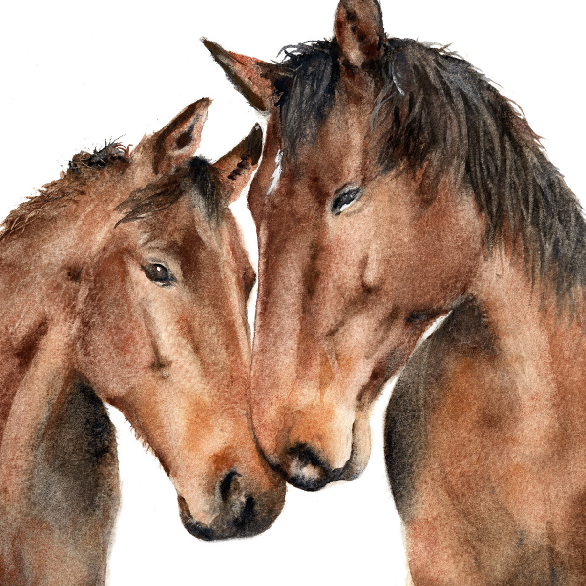 Horse Mum & Foal - Mothers Day Card - Image 2