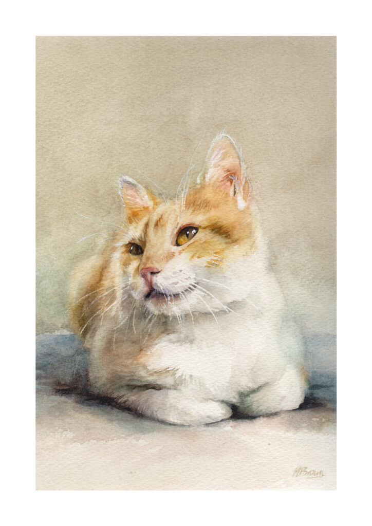 ginger and white cat watercolour painting