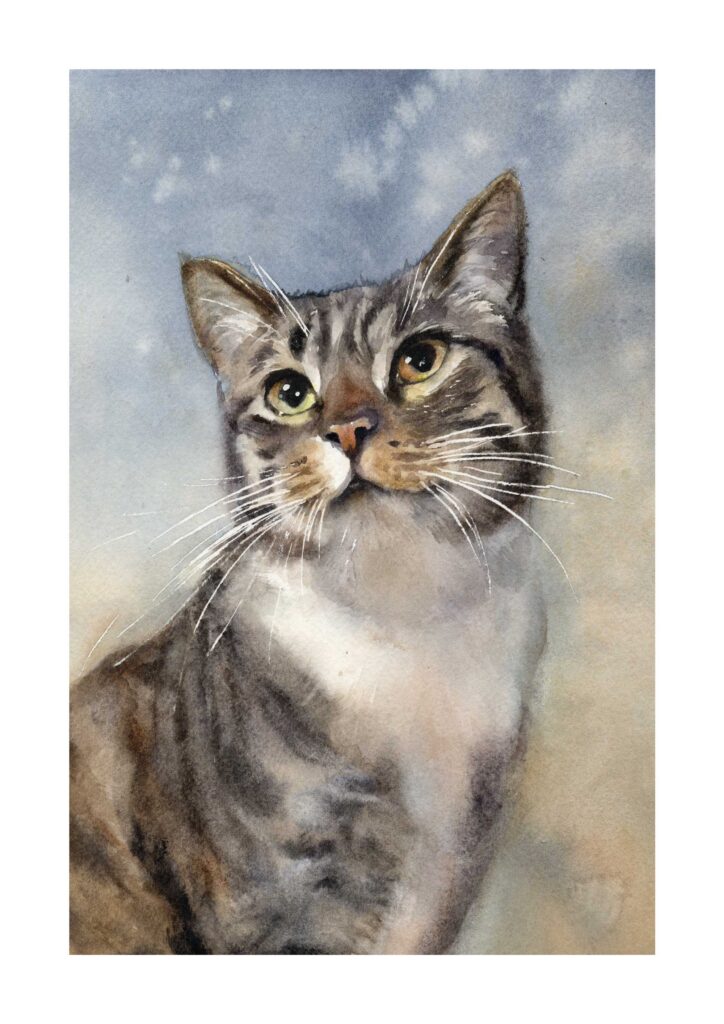 tabby cat watercolour painting