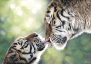 Two tigers sharing a tender moment, an artwork in pastel
