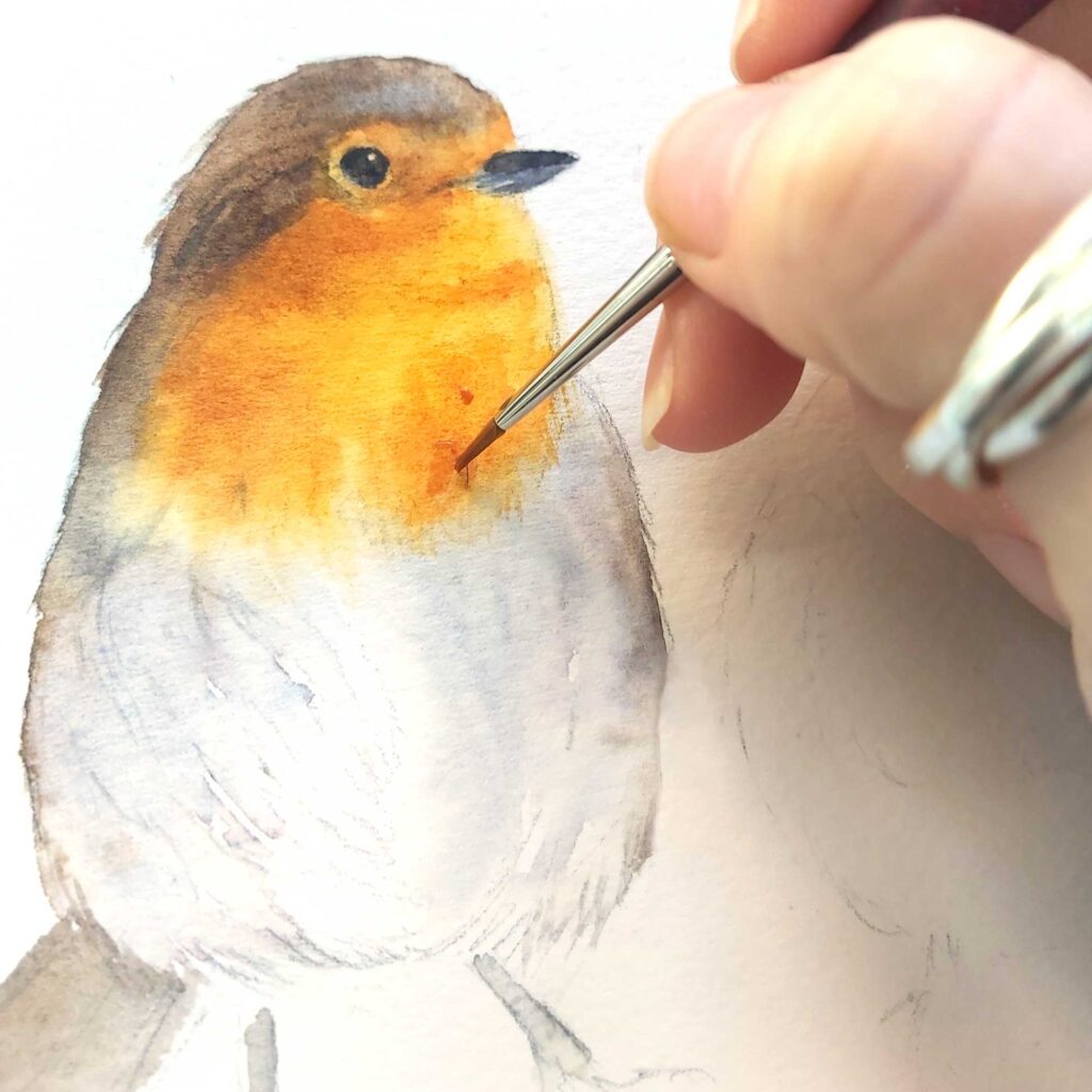 robin painting in progress